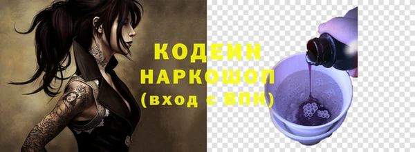 хмурый Верея