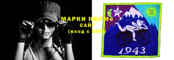 хмурый Верея