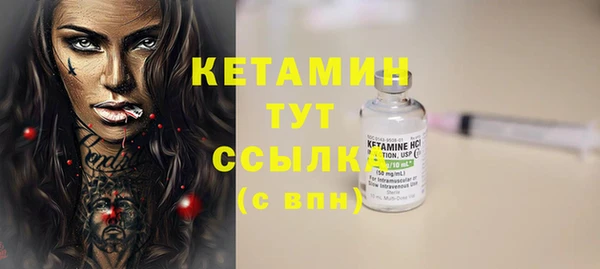 хмурый Верея