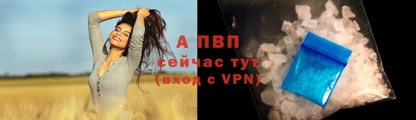 хмурый Верея