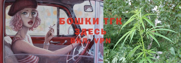 хмурый Верея