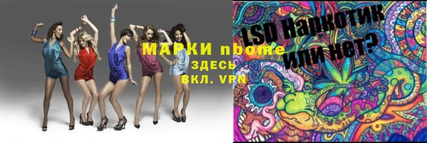 хмурый Верея